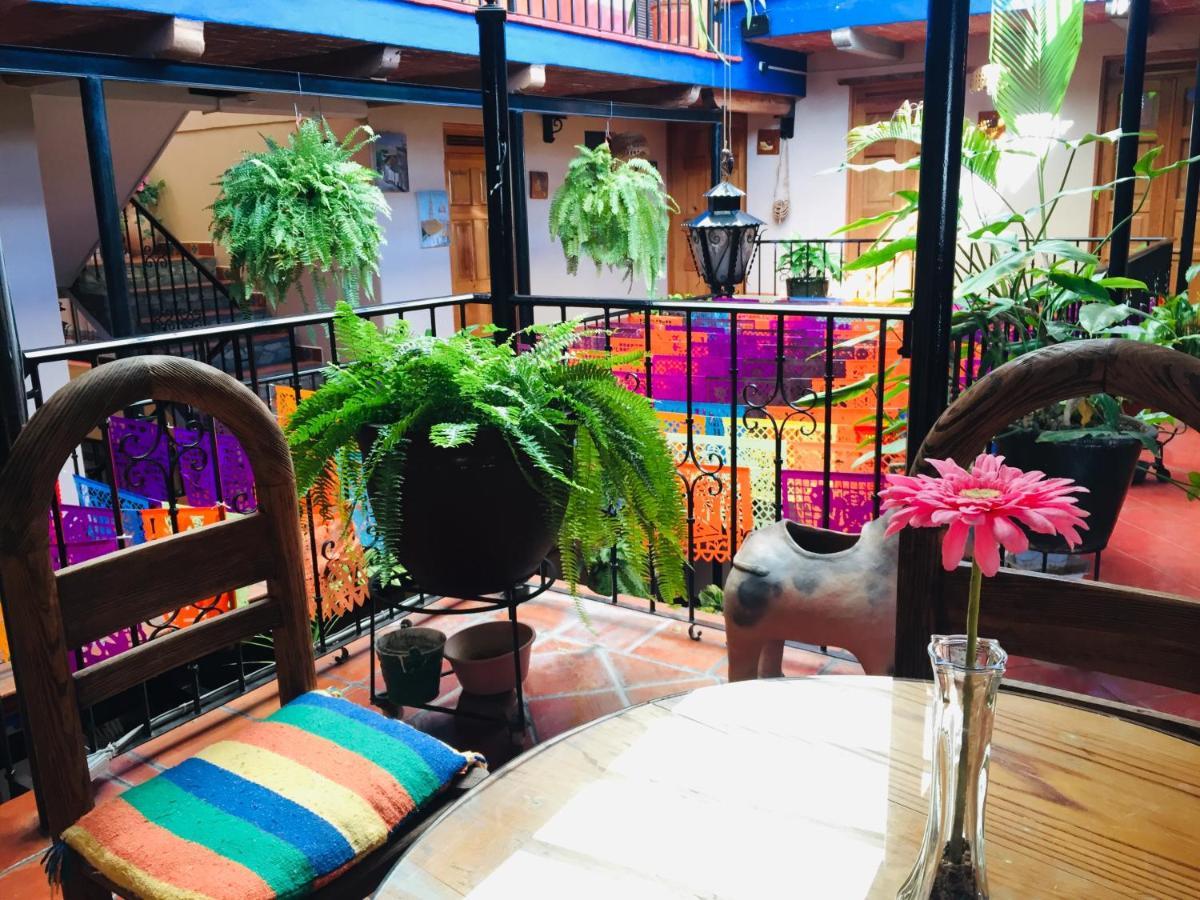 Hotel Cazomalli Oaxaca Bagian luar foto