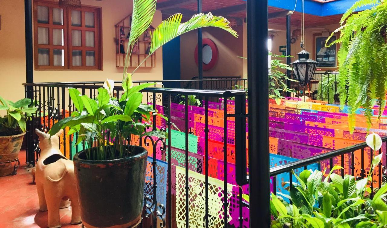 Hotel Cazomalli Oaxaca Bagian luar foto