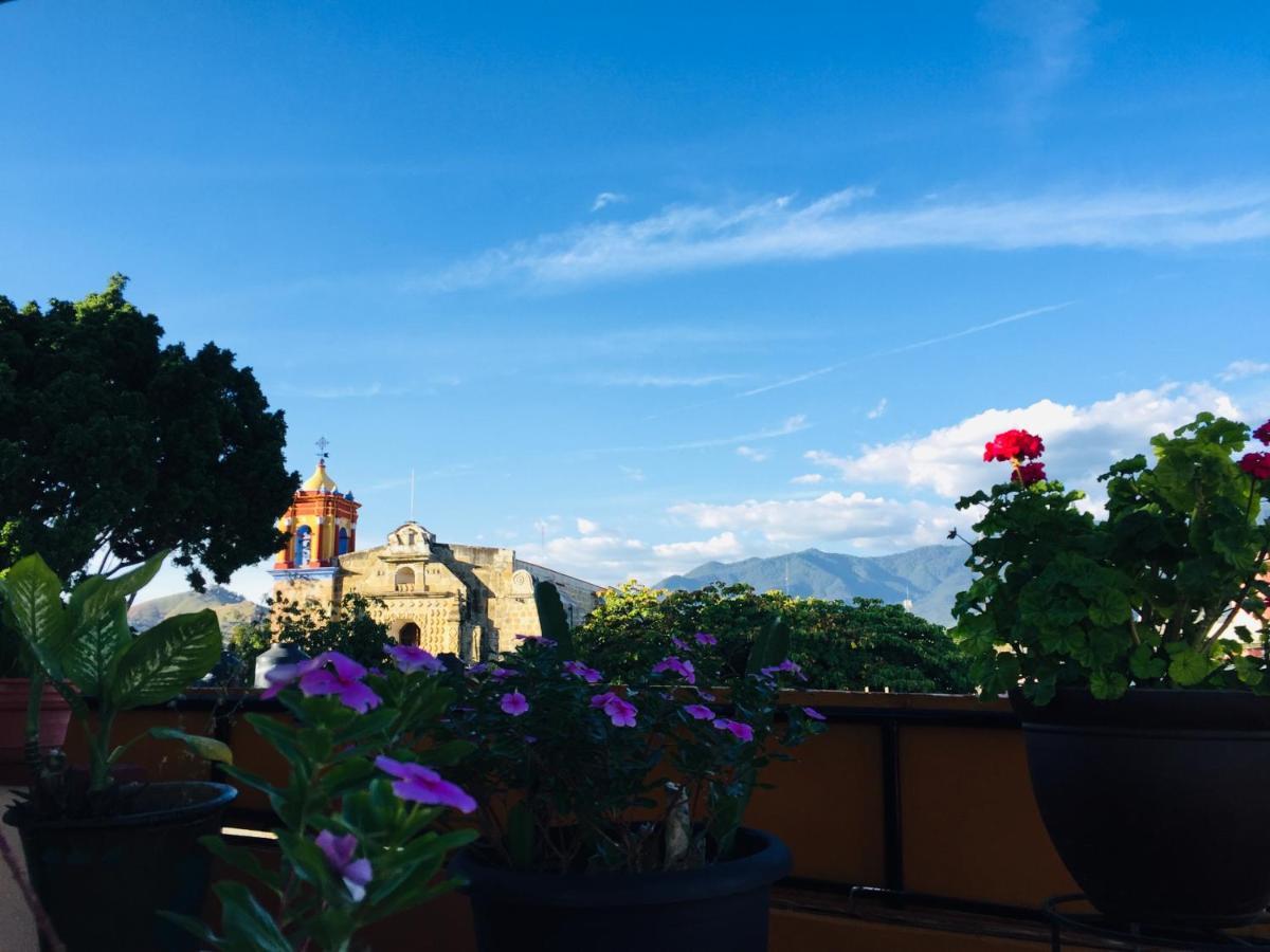 Hotel Cazomalli Oaxaca Bagian luar foto