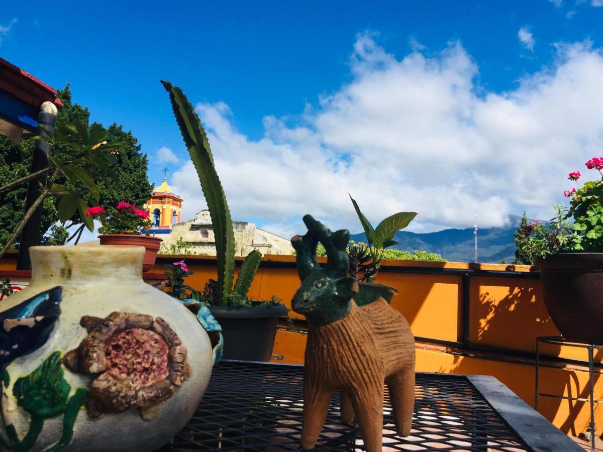Hotel Cazomalli Oaxaca Bagian luar foto