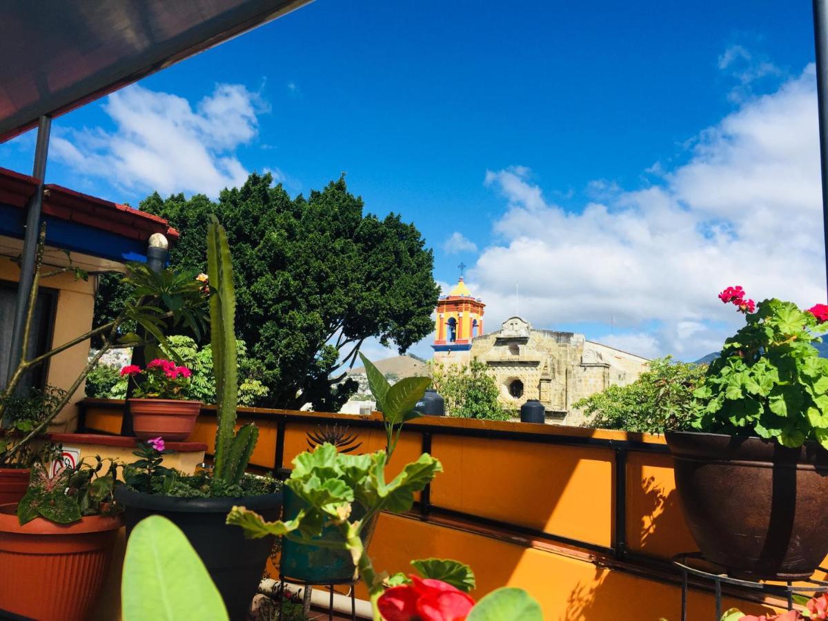 Hotel Cazomalli Oaxaca Bagian luar foto